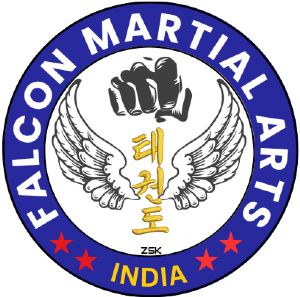 FALCON MARTIAL ARTS 